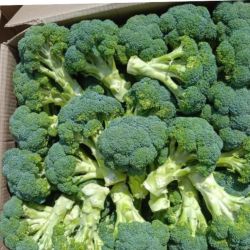 Broccoli 
