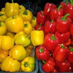Red yellow capsicum 