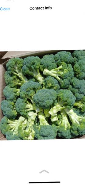 Broccoli 