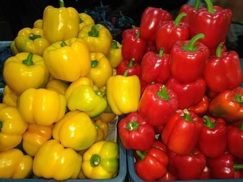 Red yellow capsicum 