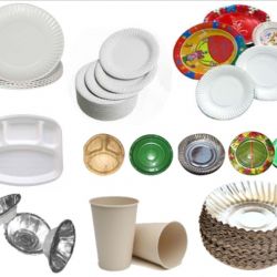 Disposal plates 