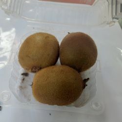 Kiwi fruit 