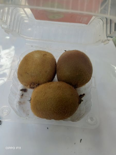 Kiwi fruit 