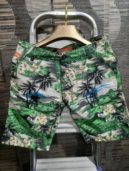 Beach print short