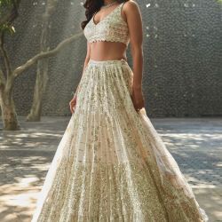 Lehenga Choli outstanding cream color