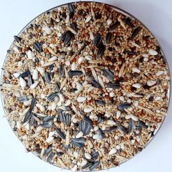 African love birds And coktel seed mix 