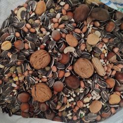 Big parrot mix seed  