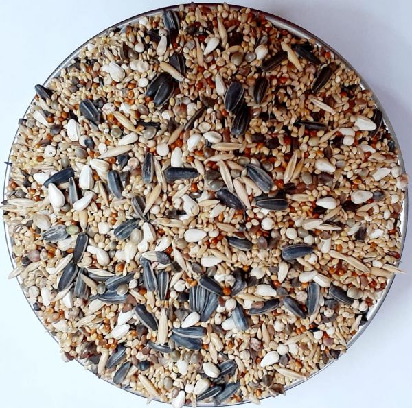 African love birds And coktel seed mix 