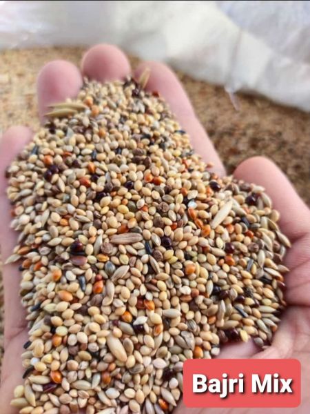 Buggees and finches seed mix