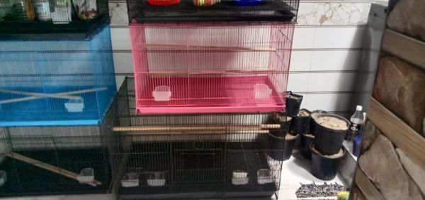 Pet cage 