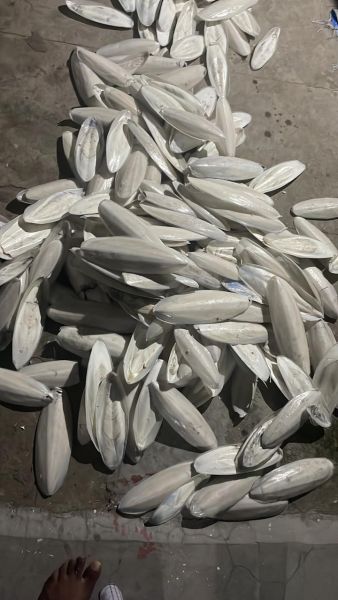 Cuttle bone For birds