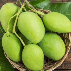 Organic Raw Mangoes 