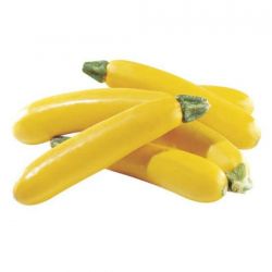 Zucchini Yellow