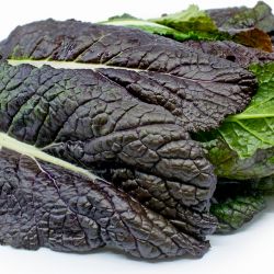 Red Mustard Greens
