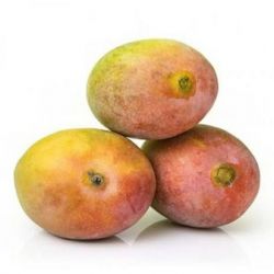 Mango Lalbag