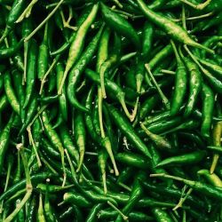 Green Chilli, Marcha