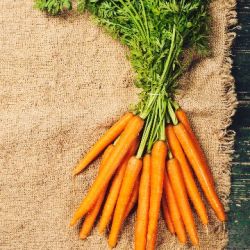 Organic Carrots  (English fresh)