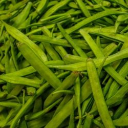 Organic Cluster Beans (Gawar)