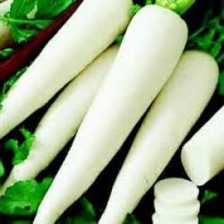 Radish