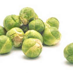 Organic Fresh Cabbage