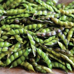 Pigeon Peas