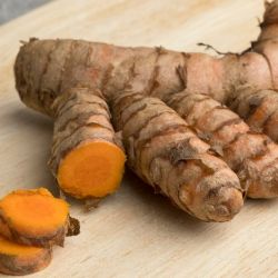 Fresh Turmeric (green haldi /  turmeric rhizome)