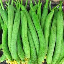 Organic Sponge Gourd ( Galka)