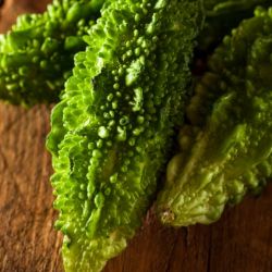 Bitter Gourd ( bitter melon/ karela )