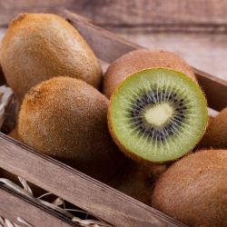Organic Kiwi