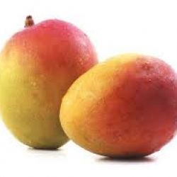 Organic Mango Neelam
