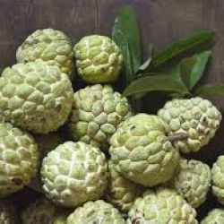 Custard Apple (Sitafal)