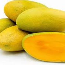 Organic Mango Mallika