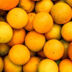 Malta Oranges