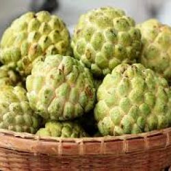 Organic Custard Apple (Sitafal)