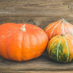 Organic Pumpkin (green/orange)