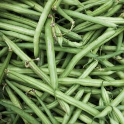 Green Beans 