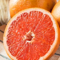 Grapefruit