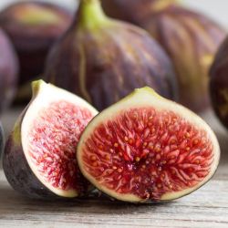 Fresh Figs