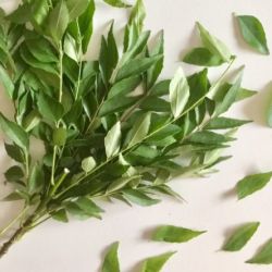 Curry leaves