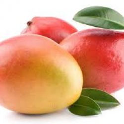 Mango Neelam