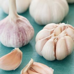 Organic Garlic 
