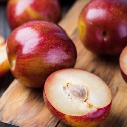 Plum Fruit