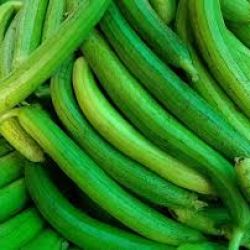 Sponge Gourd ( Galka)