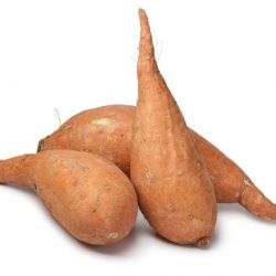 Sweet Potato