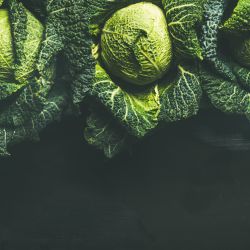 Savoy Cabbage