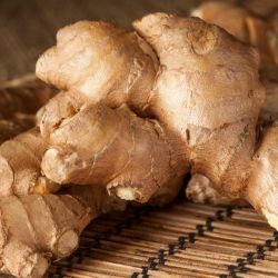 Organic Ginger 