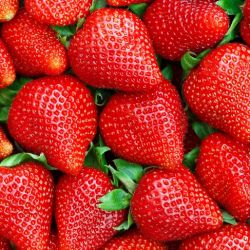 Organic Strawberry