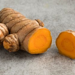 Organic Fresh Turmeric (green haldi /  turmeric rhizome)