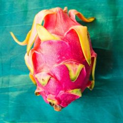 Dragon Fruit 