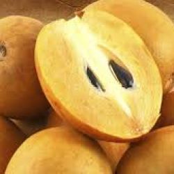 Chikoo (sapota, sapodilla)